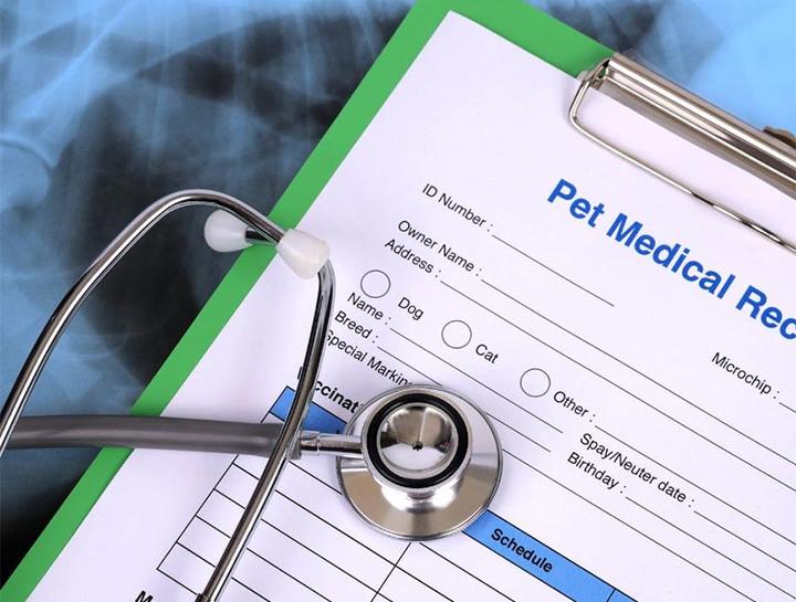 Pet medical history for Berkeley Veterinary Center pets