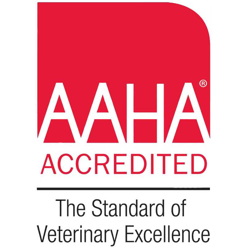 AAHA Accredited Logo - Berkeley Veterinary Center in Bayville, NJ