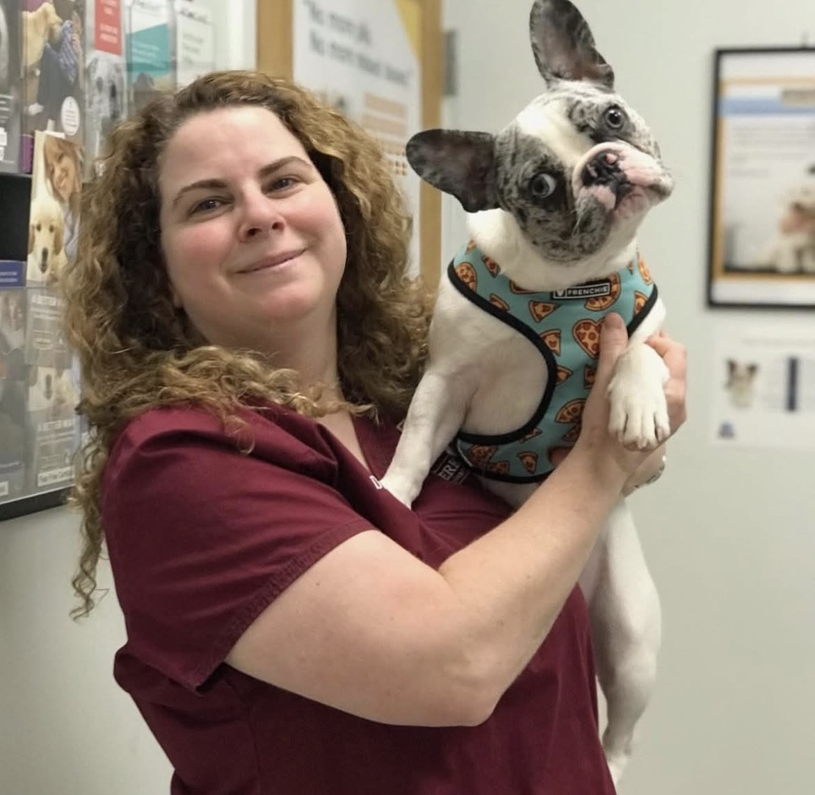 Veterinary Resources for your Pet