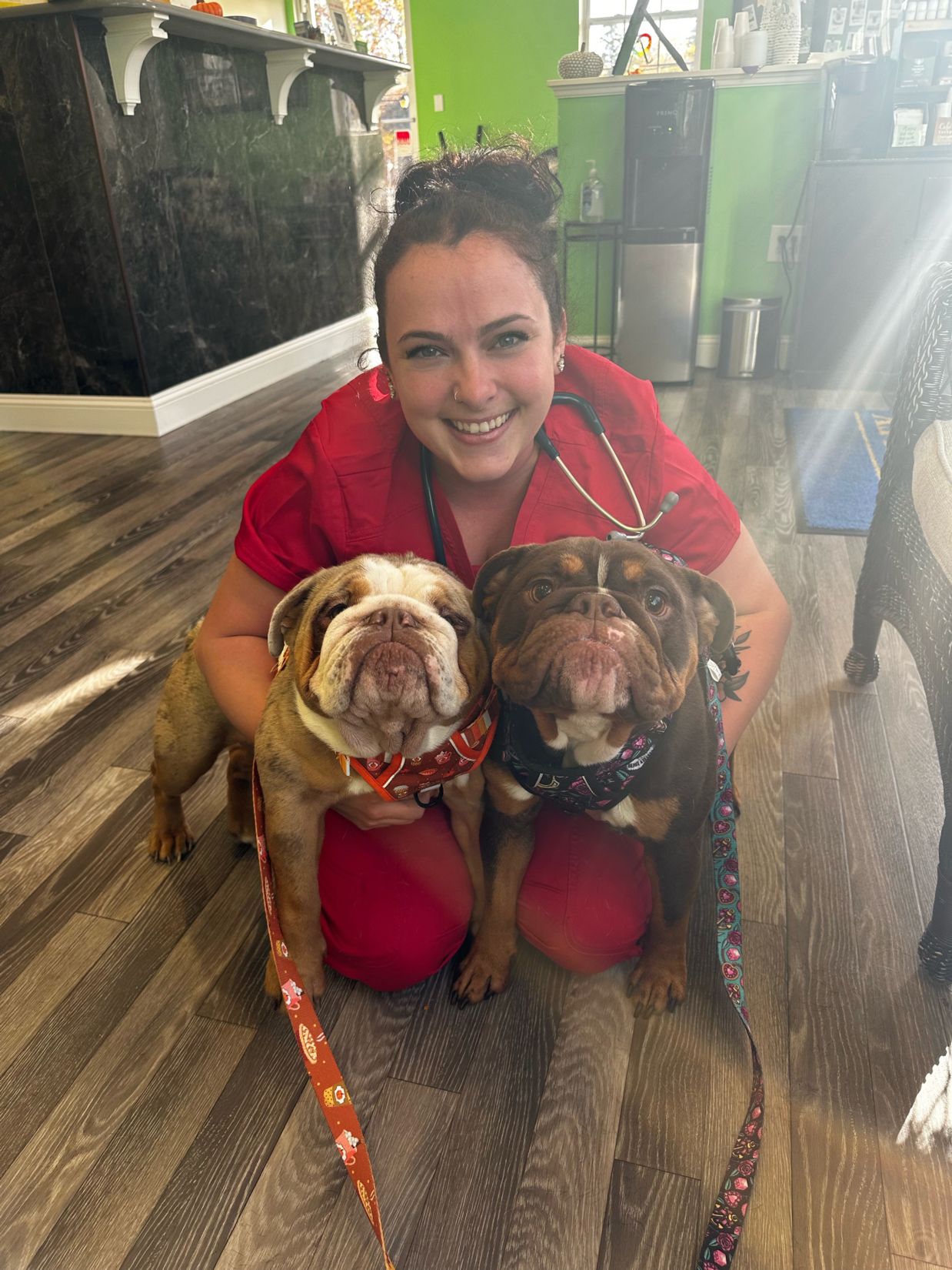 Veterinary team member holding two adorable puppies at Berkeley Veterinary Center